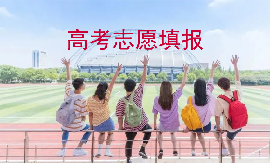 志愿填报